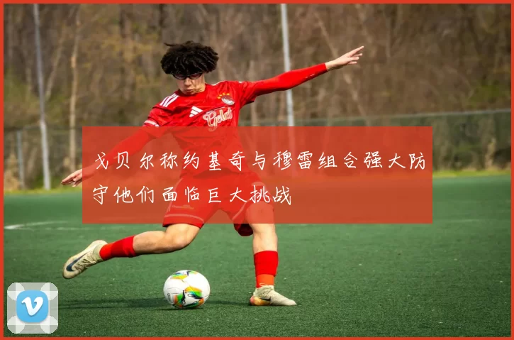 戈贝尔称约基奇与穆雷组合强大防守他们面临巨大挑战